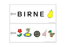 Birne.pdf